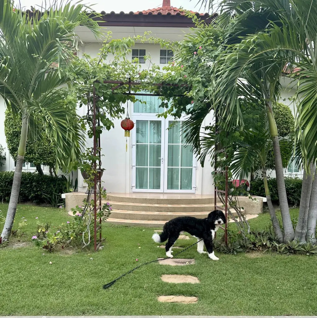 90 Days in Hua Hin: A Guide to Relaxation & Local Eats