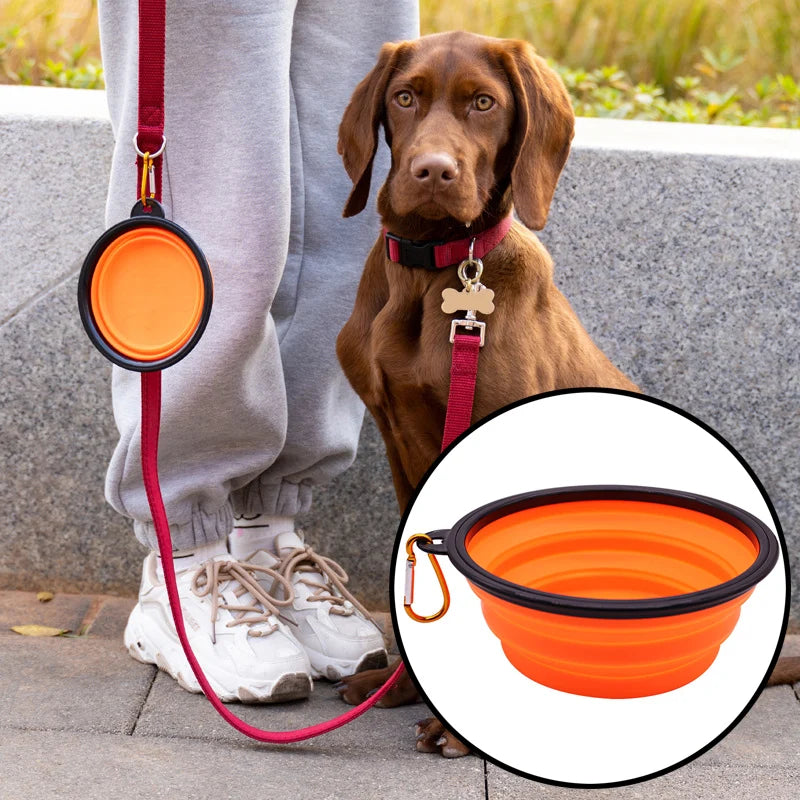 Collapsible Silicone Travel Pet Bowl