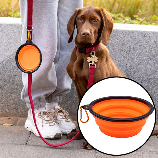 Collapsible Silicone Travel Pet Bowl